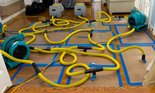 Professional Water Damage Repair technician working in Corning, OH